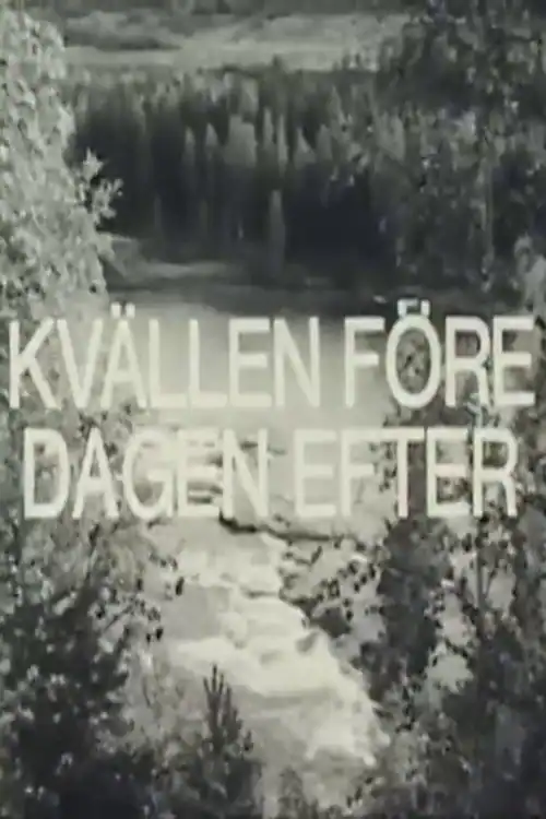 Kvällen före dagen efter